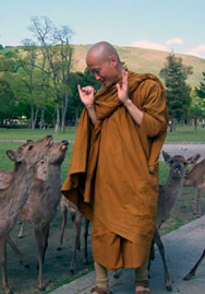 Ajahn Nyanarato